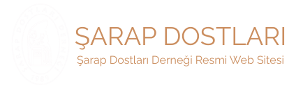 Copy of Copy of logo1